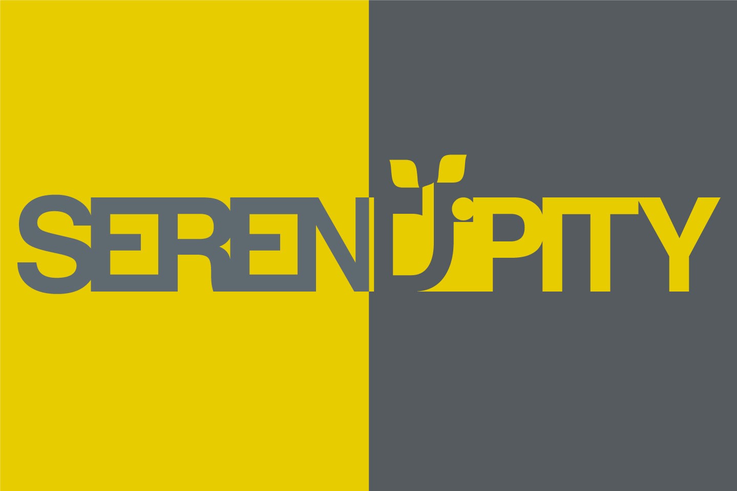 Caso di studio: branding Serendipity, brief (fase 3)